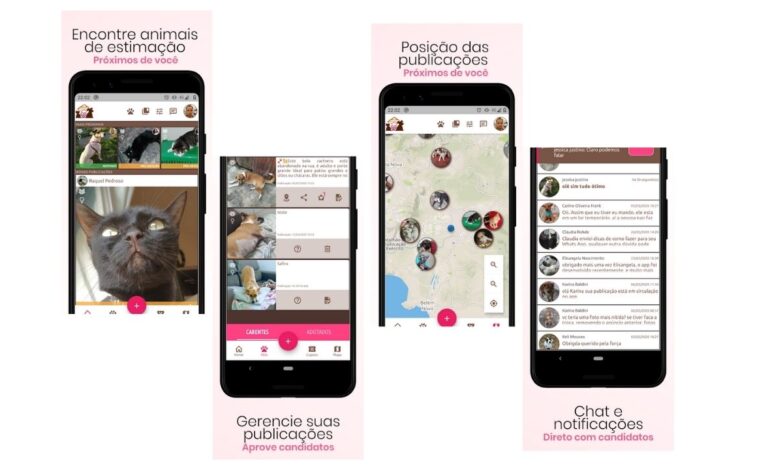  Deu match! “Tinder pet” conecta pessoas interessadas em adoção com animais abandonados